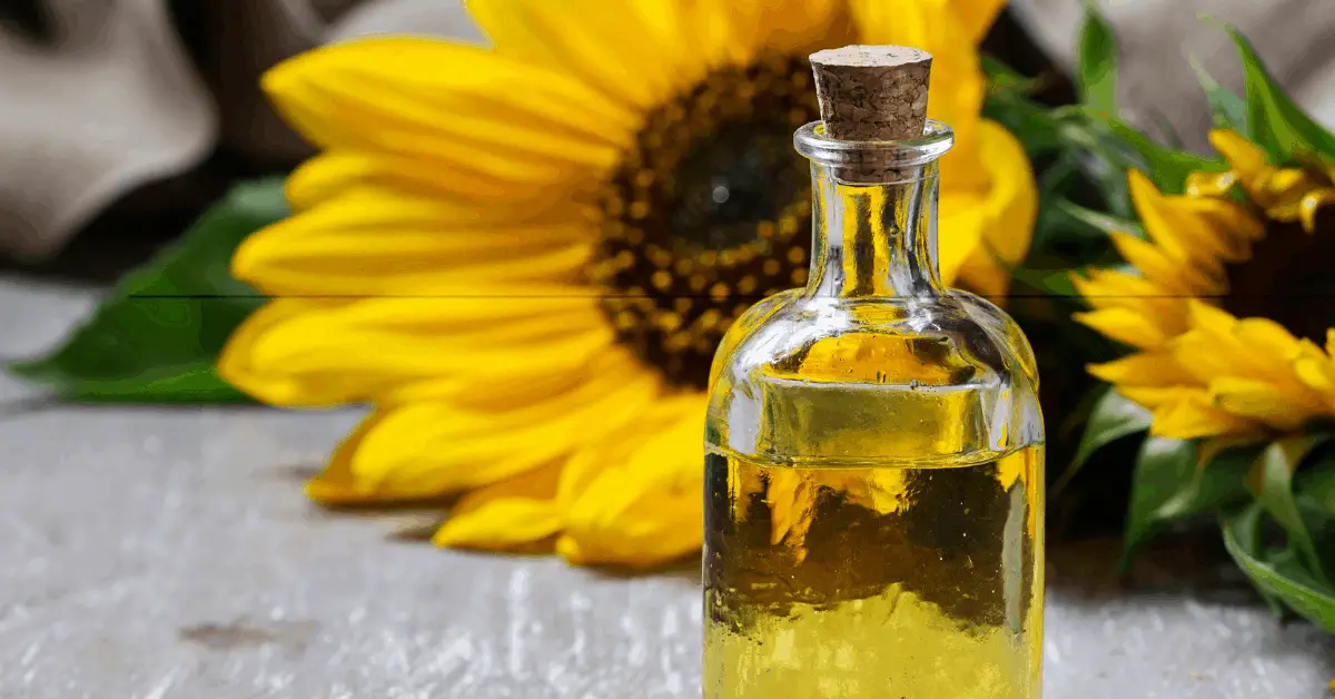 presentation of sunflower oil