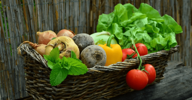 Is Acrylic Paint Food Safe?